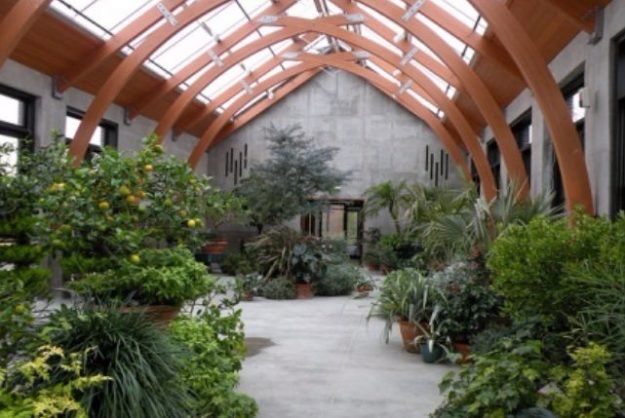 Green Room Green Room