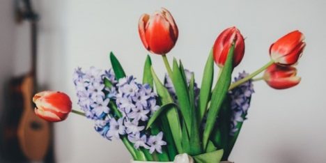 Update Your Living Room for Less