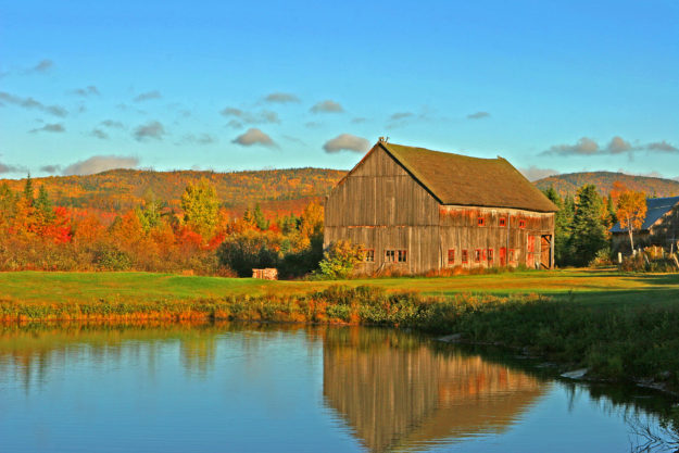 Flooring Losch Services Remodeling With Repurposed Barn Materials Indoors
